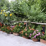 Casa Giordano * Tramonti