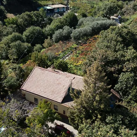 Casa Giordano בית נופש *
