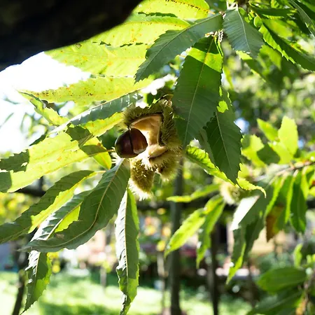 Casa Giordano Tramonti