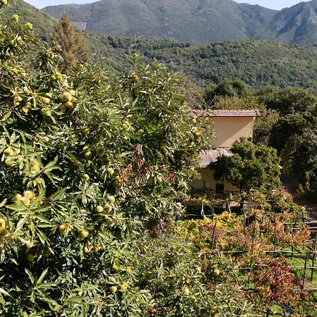 Casa Giordano * טרמונטי