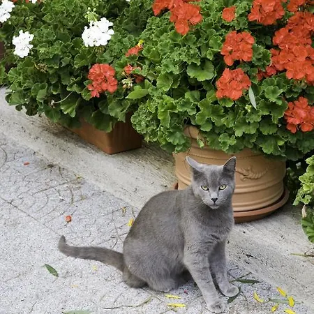 Feriehus Casa Giordano