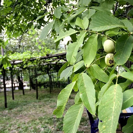 Casa Giordano Feriehus Tramonti