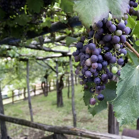 Feriehus Casa Giordano *