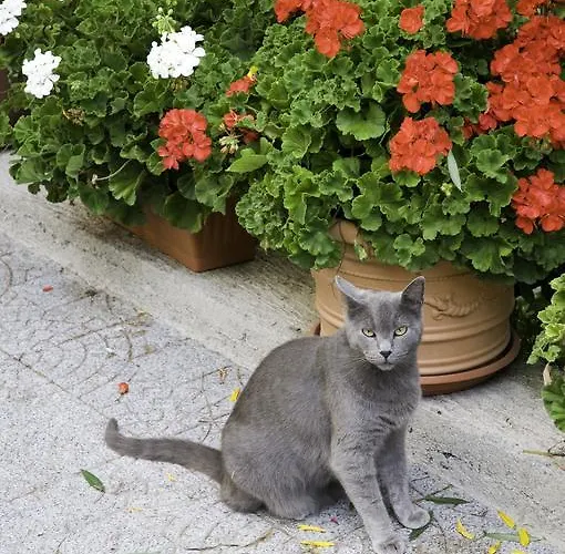 Hébergement de vacances Casa Giordano