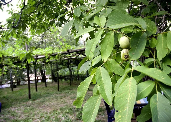Casa Giordano Tatil Evi Tramonti