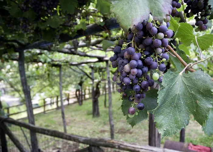 Tatil Evi Casa Giordano *